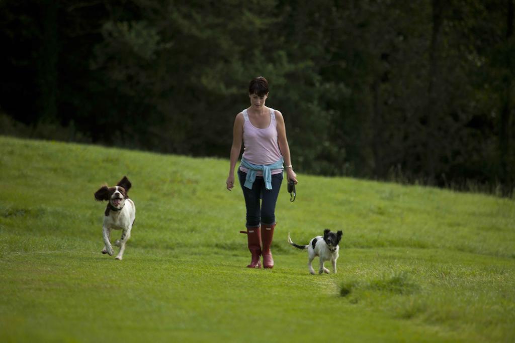 Wooda Farm Holidays Бюд Екстериор снимка