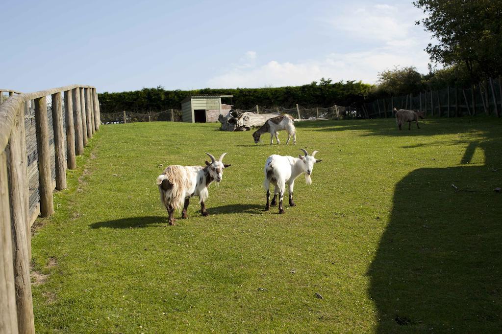 Wooda Farm Holidays Бюд Екстериор снимка